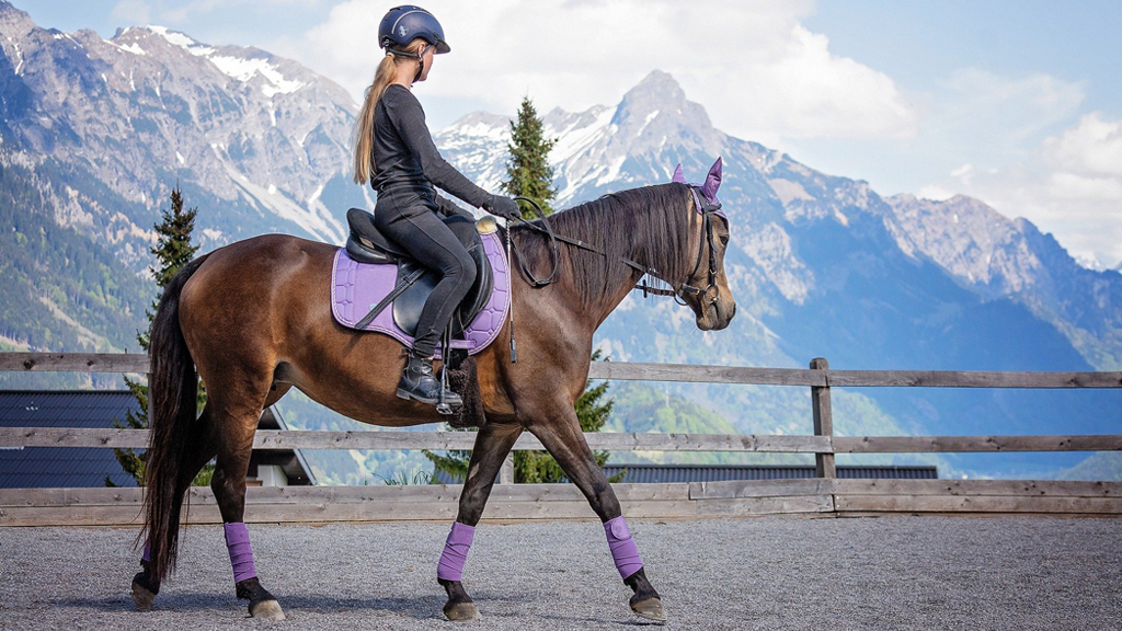 Tips for Choosing the Right Horse Riding Clothing